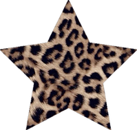 Cheetah Star